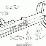 Deniz ve okyanus sonar