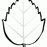 Ağaç yaprağı