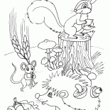 Hayvanlar stokları yapmak