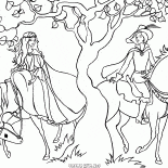 İki kupa toplantısı