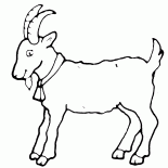 Keçi - Yılın sembolü