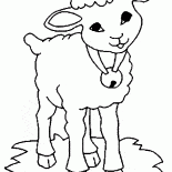 Bir çan ile Koyun