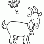 Boynuna bir çan ile Keçi