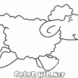 Hareket halindeyken Koyun