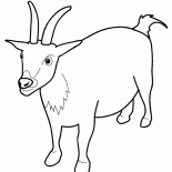 Uyarı keçi