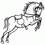 Sirkte At