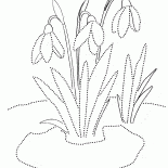 Kardelenler
