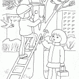 Bir ağaç üzerinde kuş evi