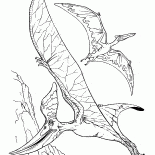 Pteranodon ve pterodactyl