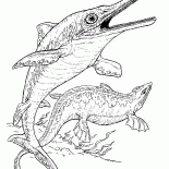 Ichthyosaur ve plesiosaur