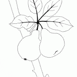 Ağaç üzerinde tatlı meyve