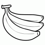 Palmiye yağı meyve