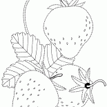 Çilek