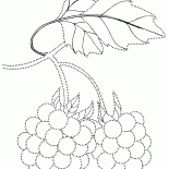 El Sanatları çilek