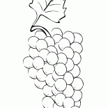 Bir salkım üzüm