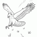 Kartal