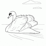 Kuğu