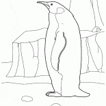 Arctic Penguin