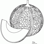 Kavun