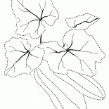 Kabak
