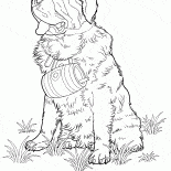 St Bernard köpek