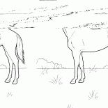 Meadow At