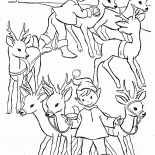 Noel Babanın Yardımcısı