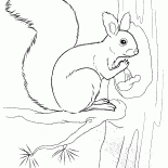 Sincap bir somun tutan